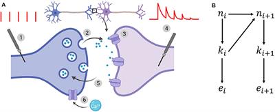 Identifiability of a Binomial Synapse